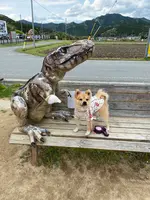 丹波恐竜公園の写真・動画_image_424374