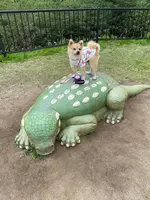 丹波恐竜公園の写真・動画_image_424375