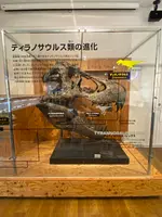 丹波竜化石工房ちーたんの館の写真・動画_image_424387