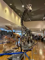 丹波竜化石工房ちーたんの館の写真・動画_image_424389