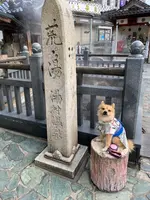 （株）荒湯観光センターの写真・動画_image_424394