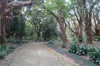 識名園の写真・動画_image_424540
