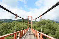 大野ダムの写真・動画_image_424612