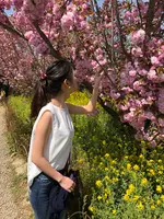 花見山の写真・動画_image_424654