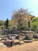 花見山公園の写真・動画_image_424751