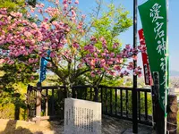 愛宕神社の写真・動画_image_424772