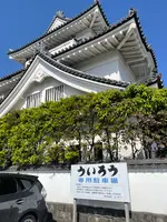 ういろうの写真・動画_image_424830