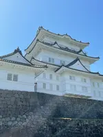 小田原城の写真・動画_image_424925