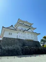 小田原城の写真・動画_image_424926