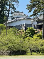 小田原城の写真・動画_image_424936