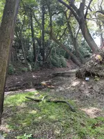 報徳二宮神社の写真・動画_image_424944