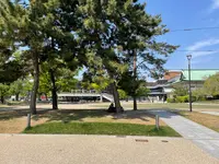 平安神宮の写真・動画_image_425015