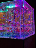 アートアクアリウム美術館の写真・動画_image_425072