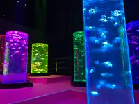 アートアクアリウム美術館の写真・動画_image_425073