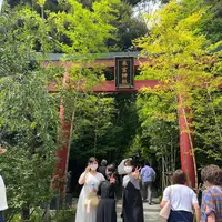 來宮神社の写真・動画_image_425310
