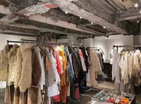 EWERの写真・動画_image_425390