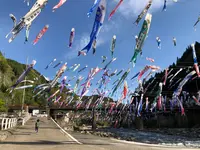 杖立温泉の写真・動画_image_425638