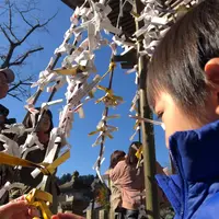 小国両神社の写真・動画_image_425646
