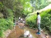 ファミリーキャンプ場いもんころの写真・動画_image_425691