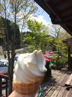 カップル小国ソフトクリームの写真・動画_image_425694
