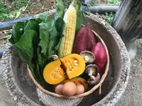 岳の湯地獄谷温泉 裕花の写真・動画_image_425702