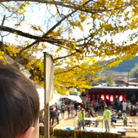 下城の大イチョウの写真・動画_image_425743