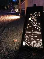 元離宮 二条城の写真・動画_image_425787