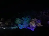 元離宮 二条城の写真・動画_image_425790