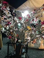 元離宮 二条城の写真・動画_image_425792