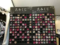 元離宮 二条城の写真・動画_image_425794