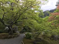 宝厳院の写真・動画_image_425846