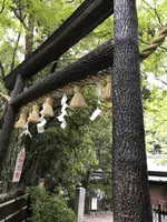 野宮神社の写真・動画_image_425847