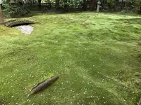 野宮神社の写真・動画_image_425848