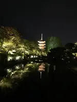 東寺（教王護国寺）の写真・動画_image_425857