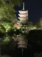 東寺（教王護国寺）の写真・動画_image_425859