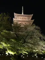 東寺（教王護国寺）の写真・動画_image_425860
