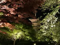 東寺（教王護国寺）の写真・動画_image_425861