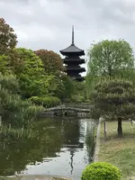 東寺（教王護国寺）の写真・動画_image_425862