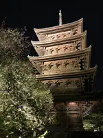 東寺（教王護国寺）の写真・動画_image_425863