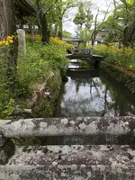 松尾大社の写真・動画_image_425870
