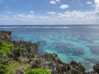 イムギャーマリンガーデンの写真・動画_image_425905