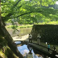 水源けやきの写真・動画_image_426171