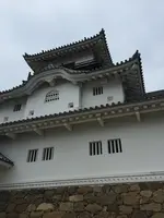 掛川城の写真・動画_image_426191