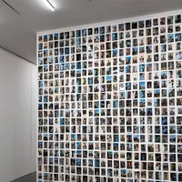 KOTARO NUKAGAの写真・動画_image_426235