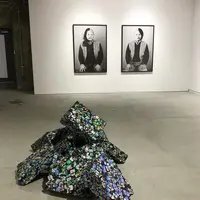 ANOMALY（アノマリー）の写真・動画_image_426241