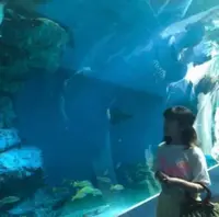 マクセル アクアパーク品川の写真・動画_image_426278