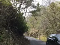 鬼城山の写真・動画_image_426508