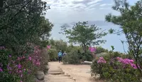 王子が岳の写真・動画_image_426539