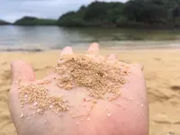 星砂の浜の写真・動画_image_426585
