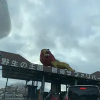 那須サファリパークの写真・動画_image_426616